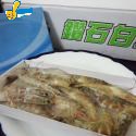 急凍白蝦50-60(盒裝250g)