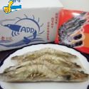 草蝦(6尾盒裝)