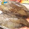 鱈魚