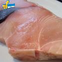 沙魚