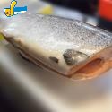 鮭魚