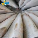 虱目魚肚
