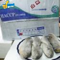 白口魚片(盒裝)