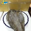 鱈魚(盒裝)