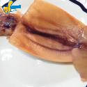 發泡魷魚