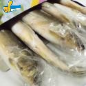 冷凍香魚(盒裝-1公斤)