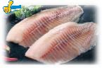潮鯛清肉片