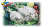肉魚
