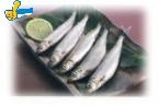 柳葉魚