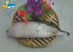 鱈魚